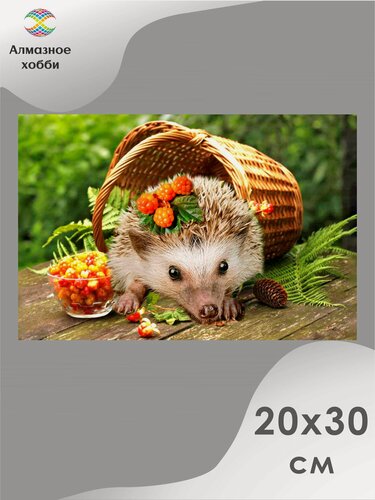 Изображение товара Алмазная мозаика Сладкая морошка 20х30 без подрамника