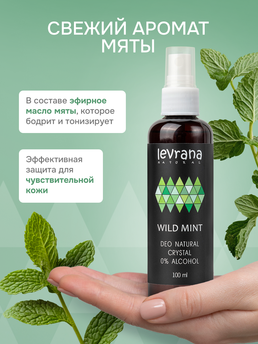Натуральный дезодорант спрей мужской для тела от пота и запаха Дикая мята Levrana, 100 мл — фото 1