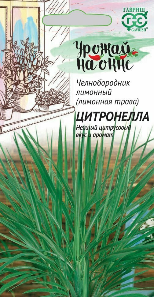 Семена Лемонграсс (Лимонная трава) Цитронелла 0,025г, Гавриш, Урожай на окне, 10 пакетиков