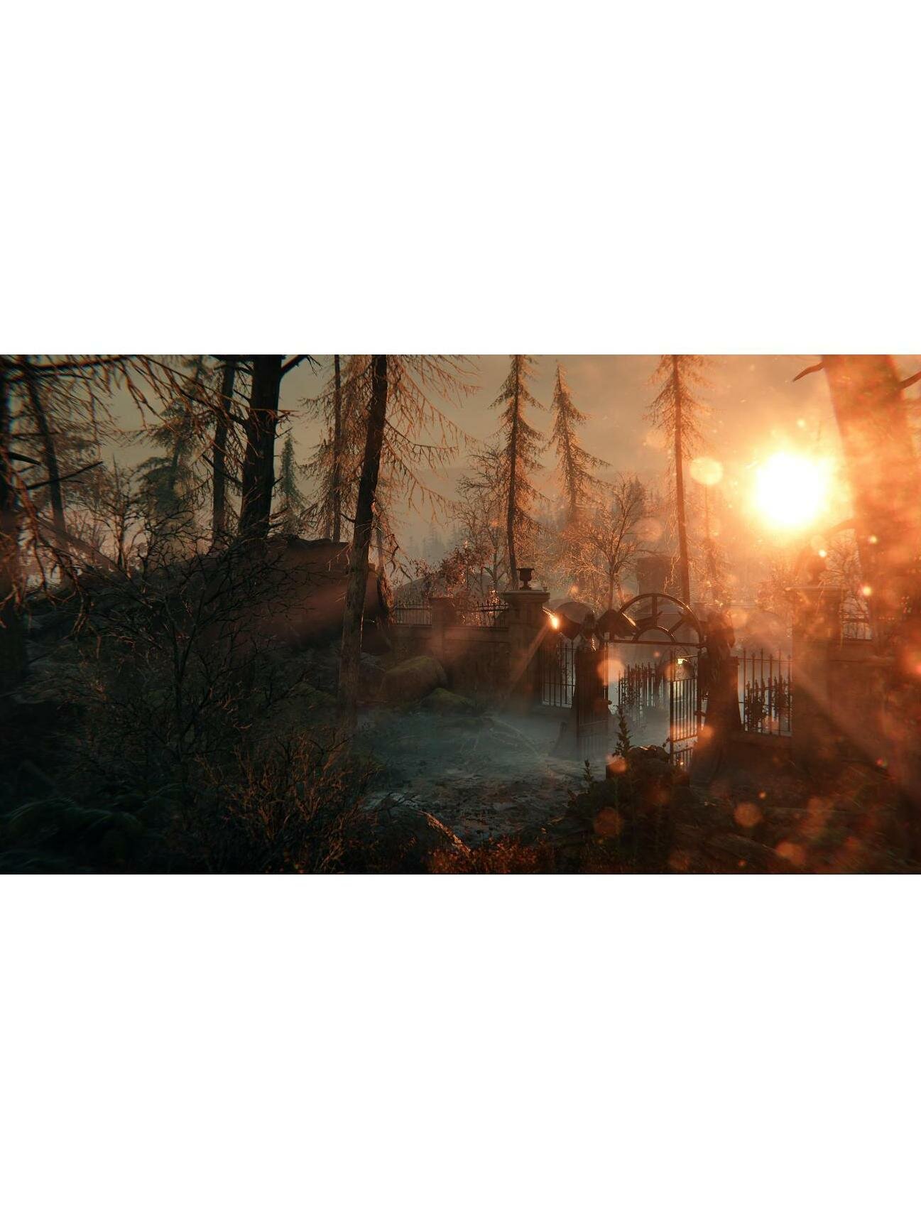 PS4 игра Microids Syberia: The World Before — фото 1