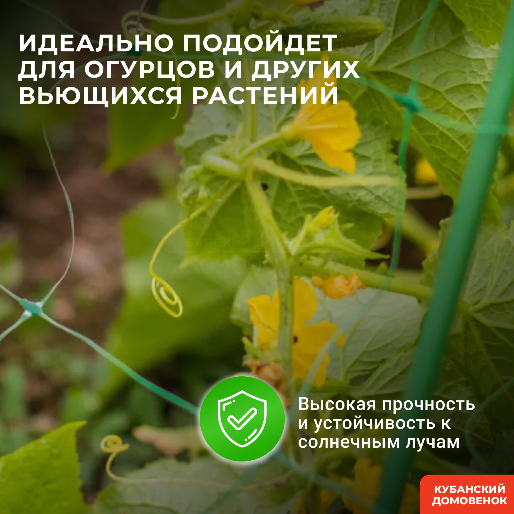 Сетка шпалерная, размер ячеек 17смх15см — фото 1