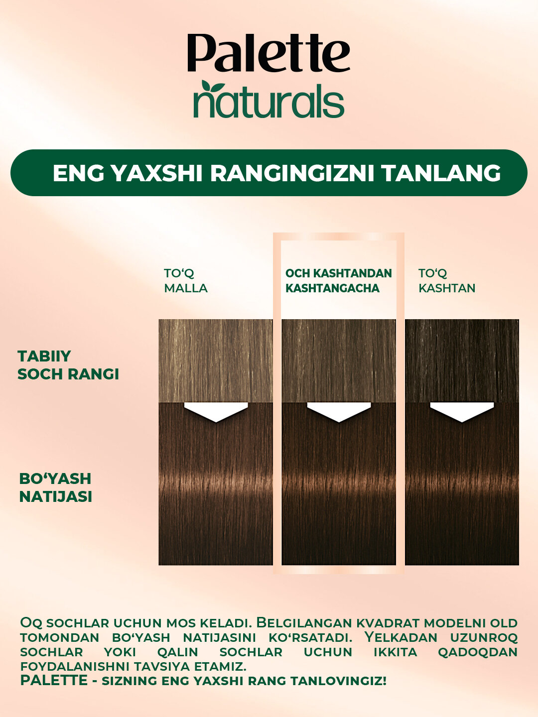 Краска для волос "Palette PNC", золотисто-коричневая, с эффектом закрашивания седины — фото 1