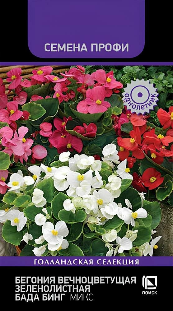 Семена Бегония вечноцветущая зеленолистная Бада Бинг Микс (15 семян)