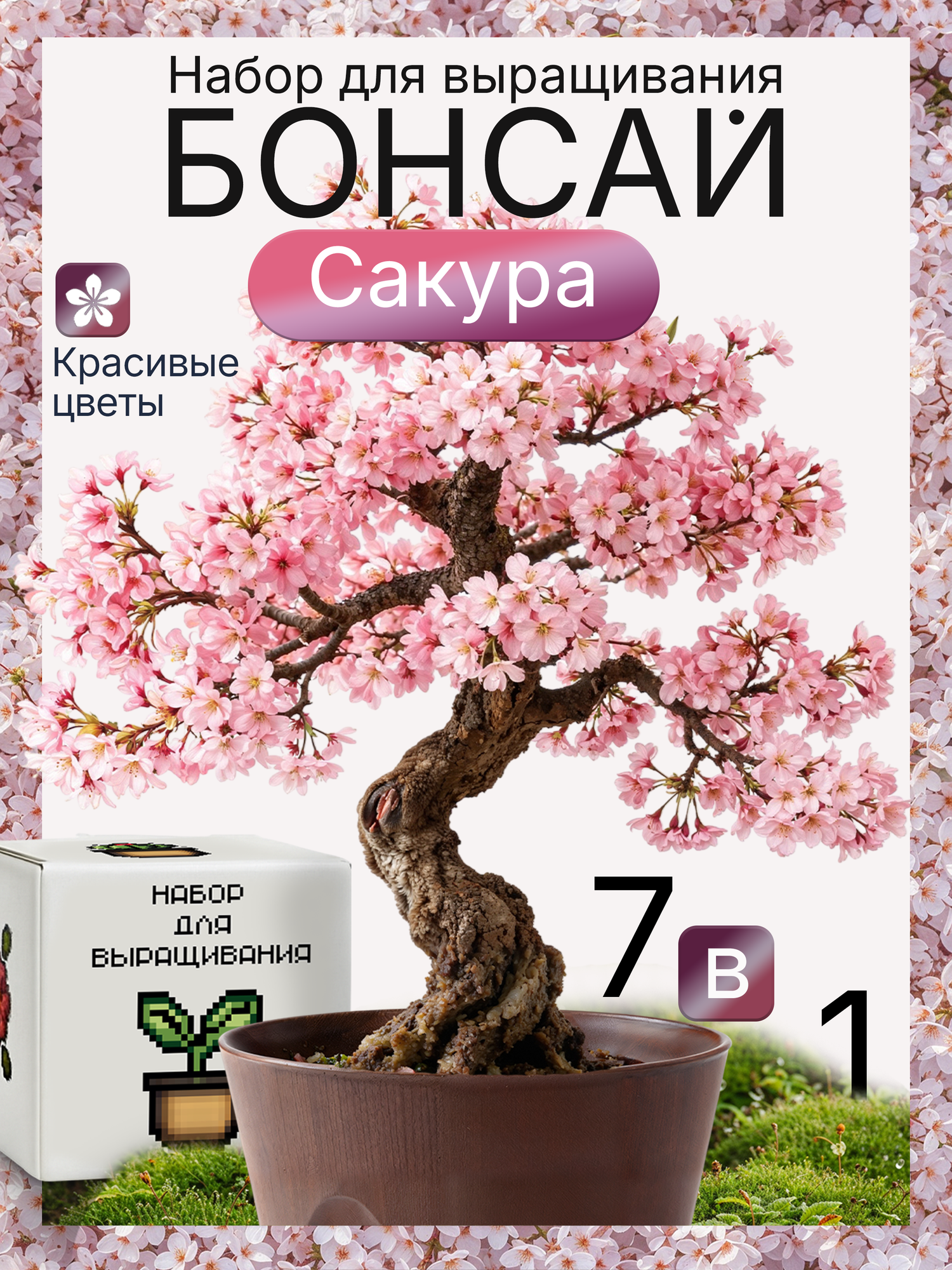 Бонсай набор для выращивания растений Сакура