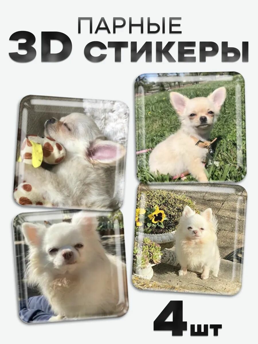 3D стикеры, наклейки на телефон чихуахуа