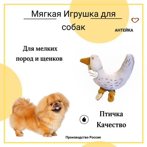 Игрушка для щенков и мелких пород собак AHTEЙKA Птичка с пищалкой