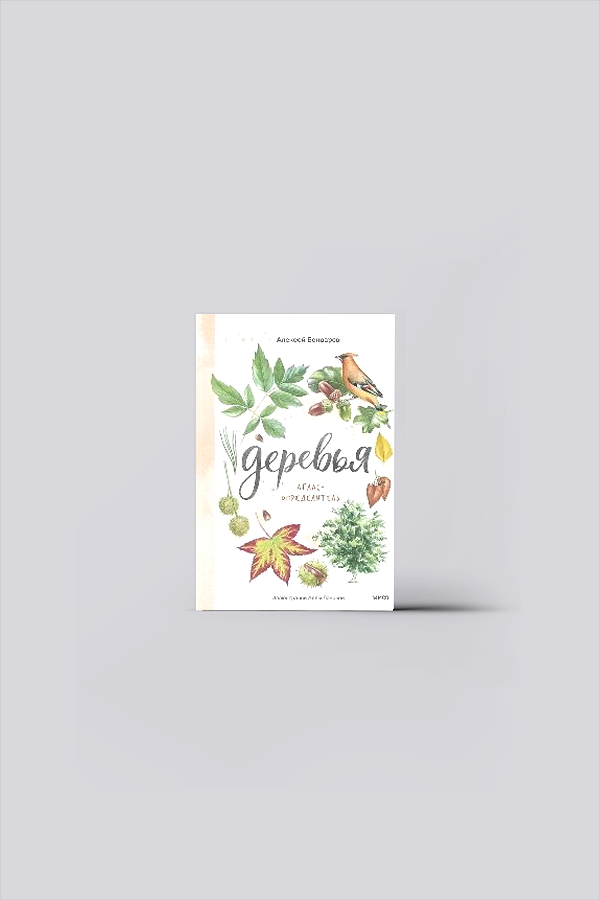 Деревья : атлас-определитель | Бондарев, А.