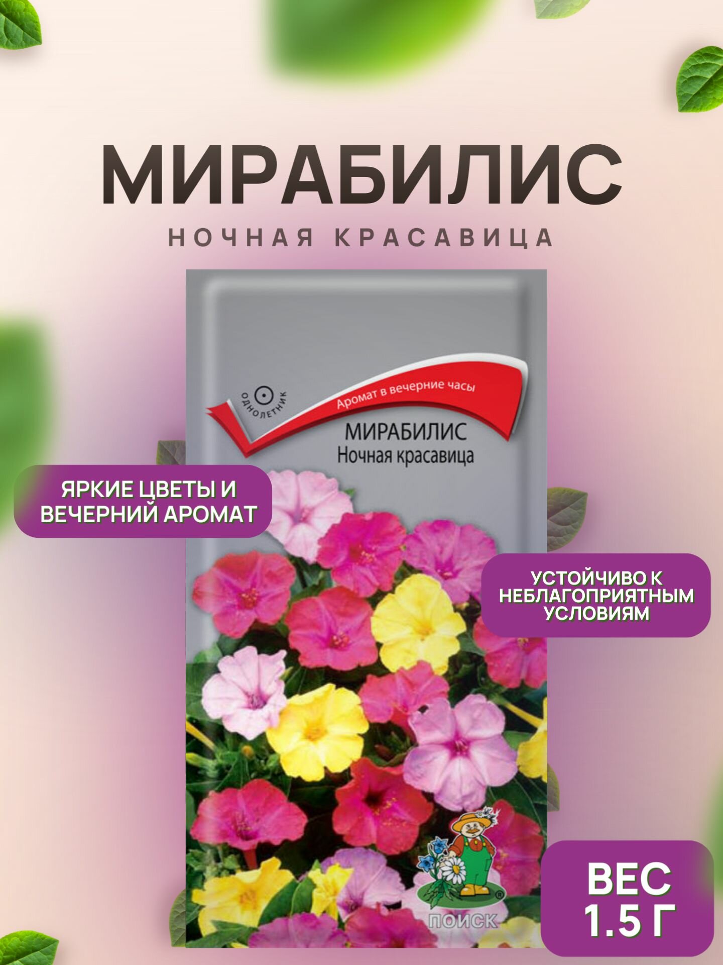 Мирабилис Ночная красавица 1.5 г / Поиск