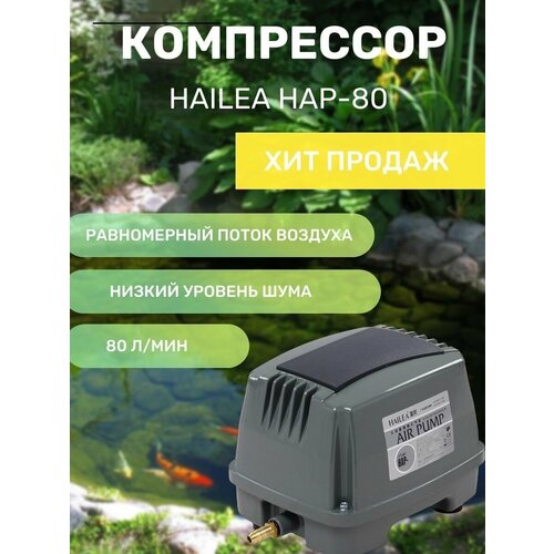 фото Компрессор hailea hap-80. компрессор для септика, канализации, пруда.