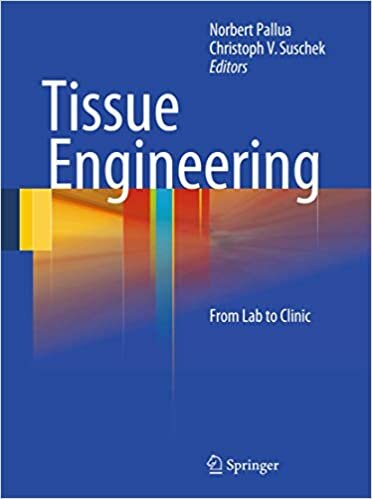 Tissue Engineering: From Lab to Clinic 9783642028236