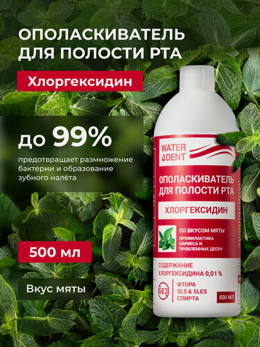 Изображение товара Ополаскиватель для рта с хлоргексидином со вкусом мяты Waterdent / 500 мл