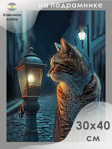 Изображение товара Алмазная мозаика на подрамнике Кот и фонарь 30х40