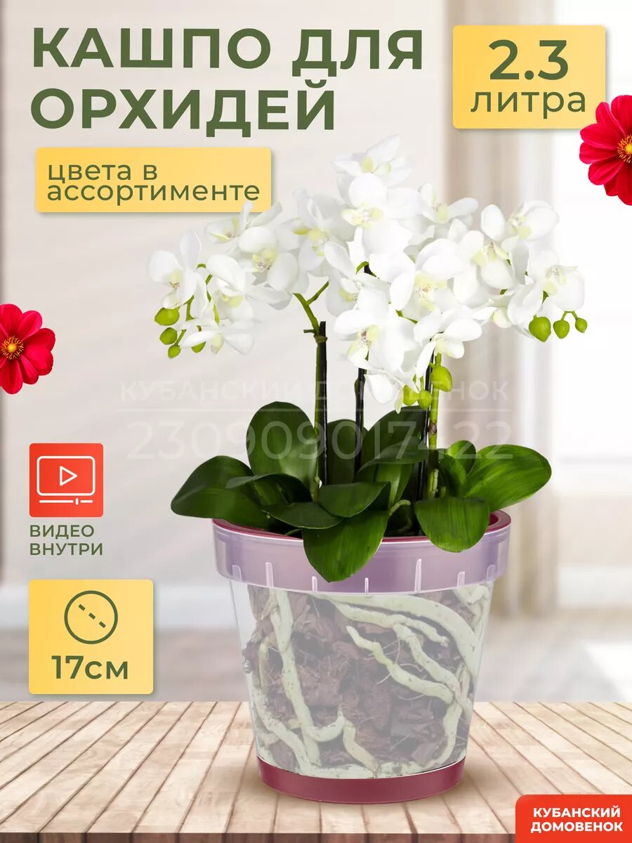 Горшок для орхидеи двойное дно прозрачный кашпо 2,3л