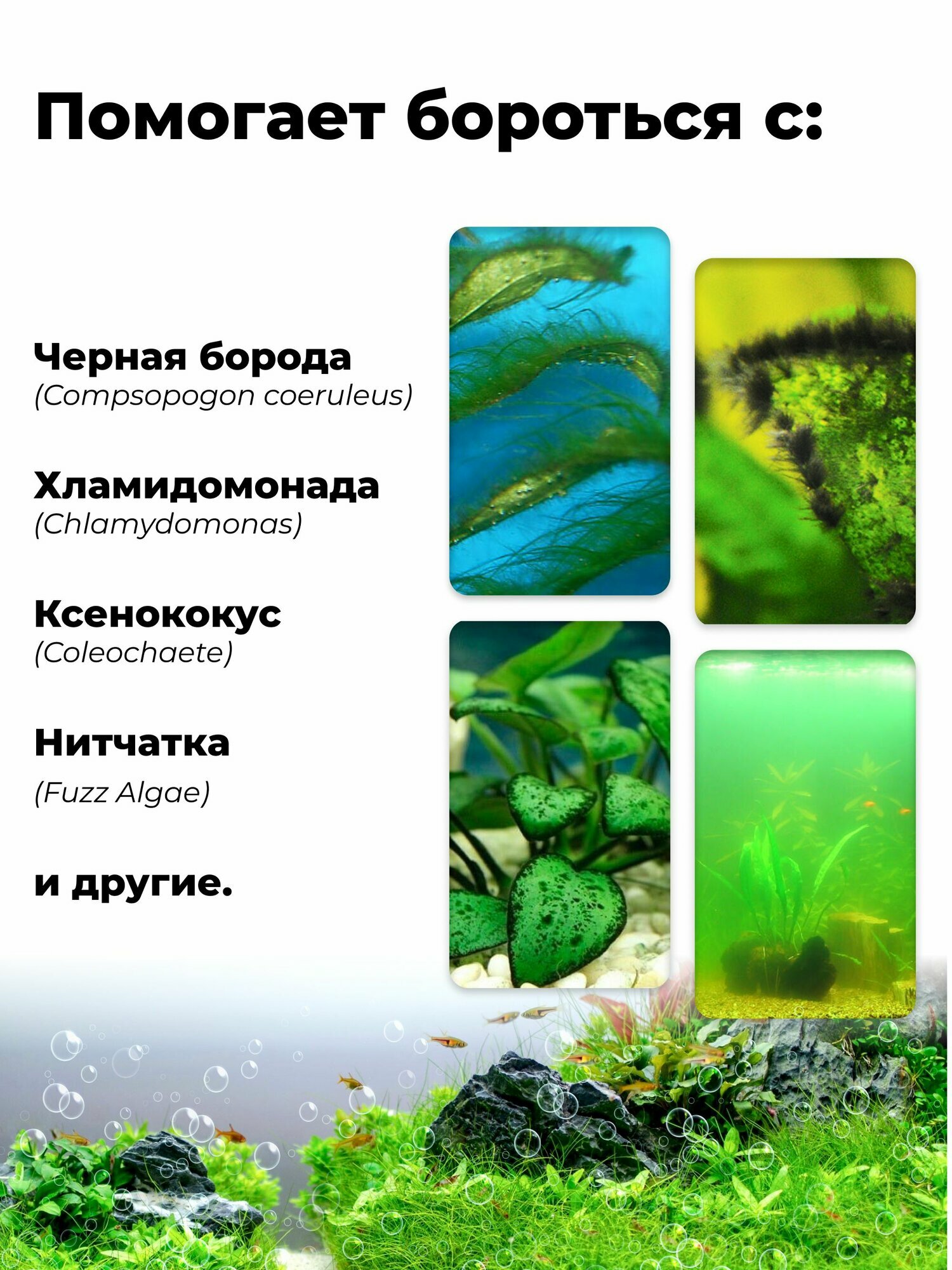 Средство против водорослей + CO2 AQUALIFE, 200мл на 2000л — фото 1