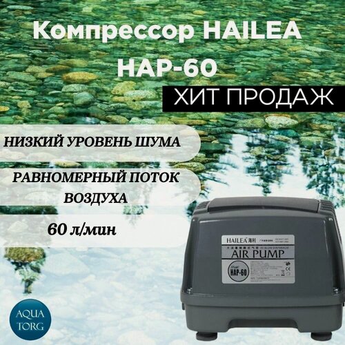 Изображение товара Компрессор Hailea HAP 60. Компрессор для септика, для канализации, для пруда. 60 л/мин.