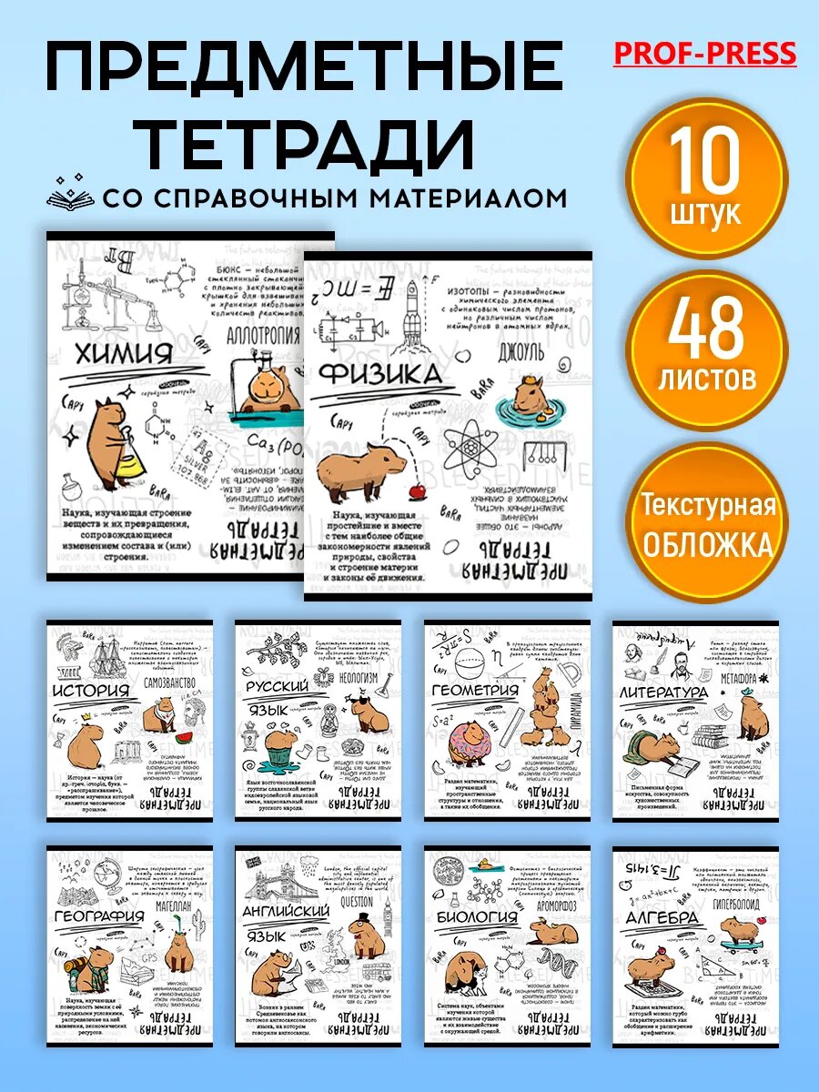Набор предметных тетрадей Prof-Press, 10 шт, 48 листов, со справочным материалом, в клетку и линейку