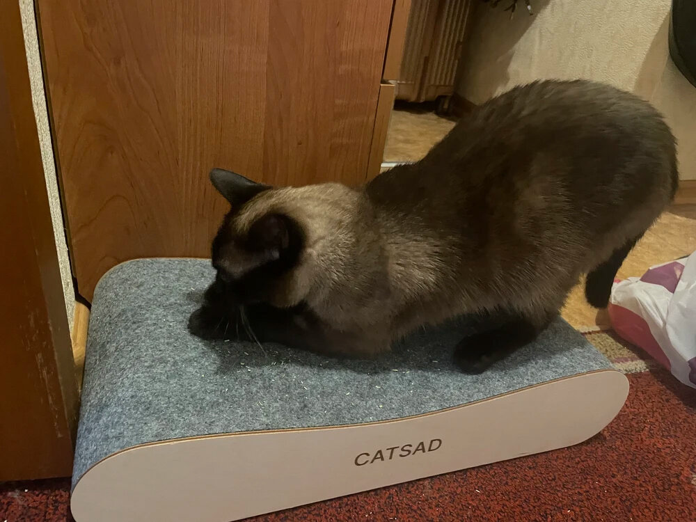 Когтеточка лежанка для кошек из ковролина CATSAD (не картонная) — фото 1