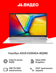 Ноутбук ASUS E1504GA-BQ560/15.6"/N100/8/256/NoOS/Grey (90NB0ZT1-M00XZ0)