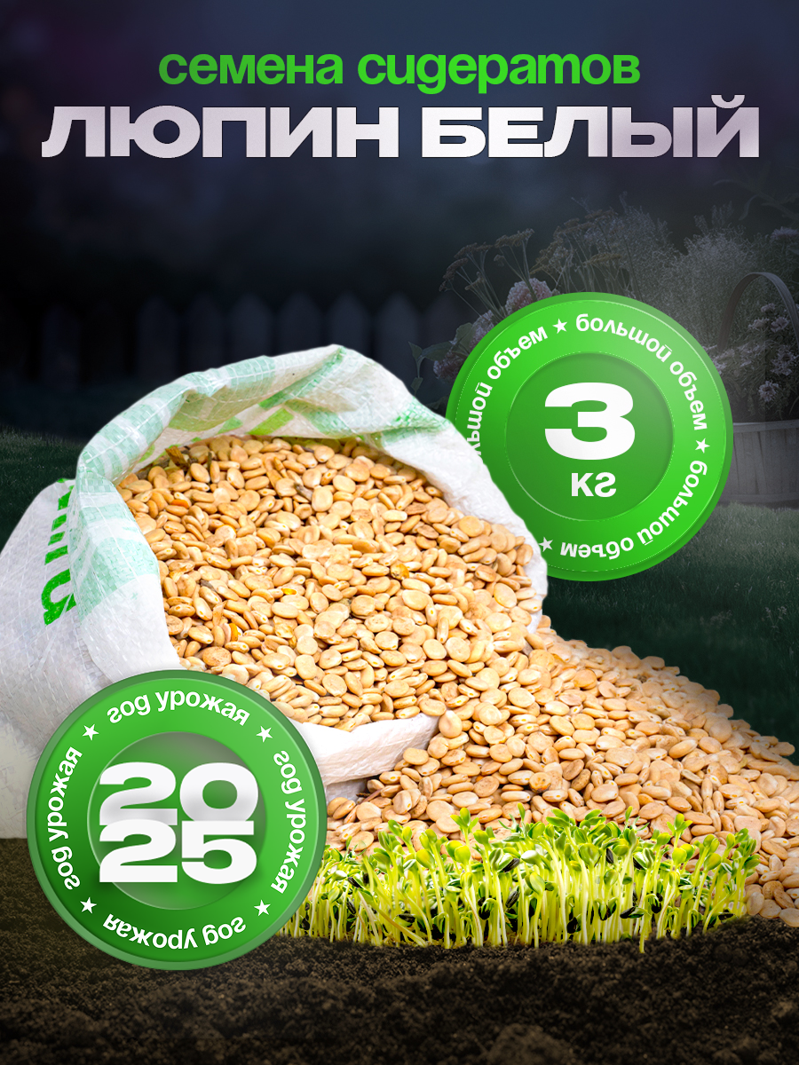 Семена Люпин белый 3 кг Зеленый уголок сидерат для сада и огорода