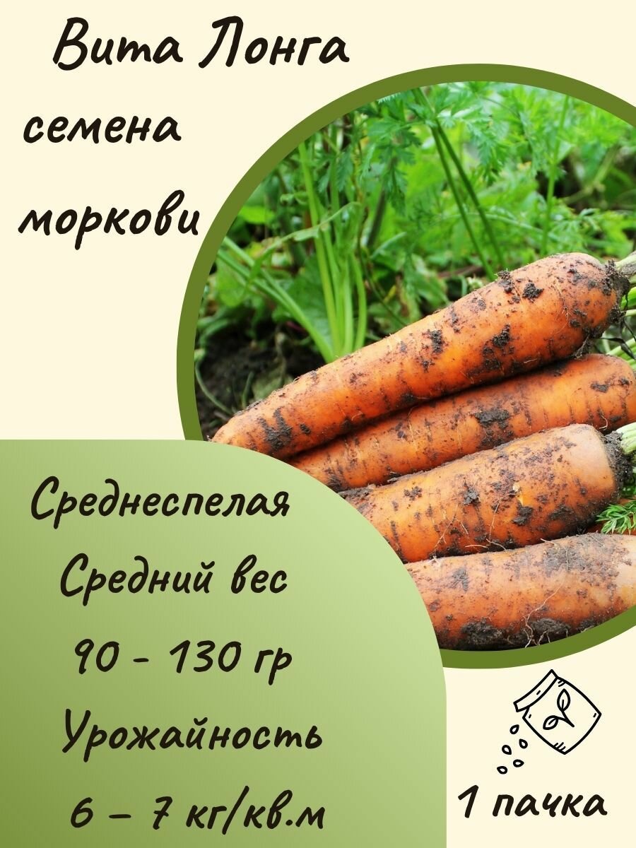 Семена моркови Вита Лонга 10 шт. семян