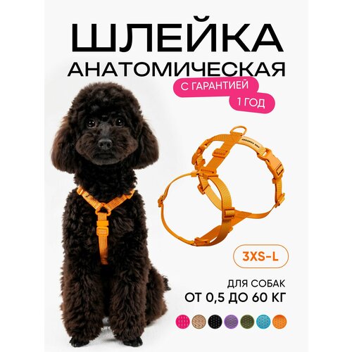 фото Шлейка для собак мелких и средних пород анатомическая размер xs, оранжевая, pro comfort procomfort