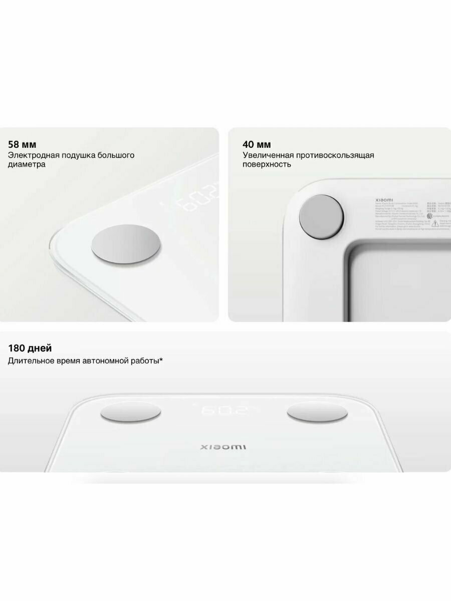 Сравнительные графики состава тела