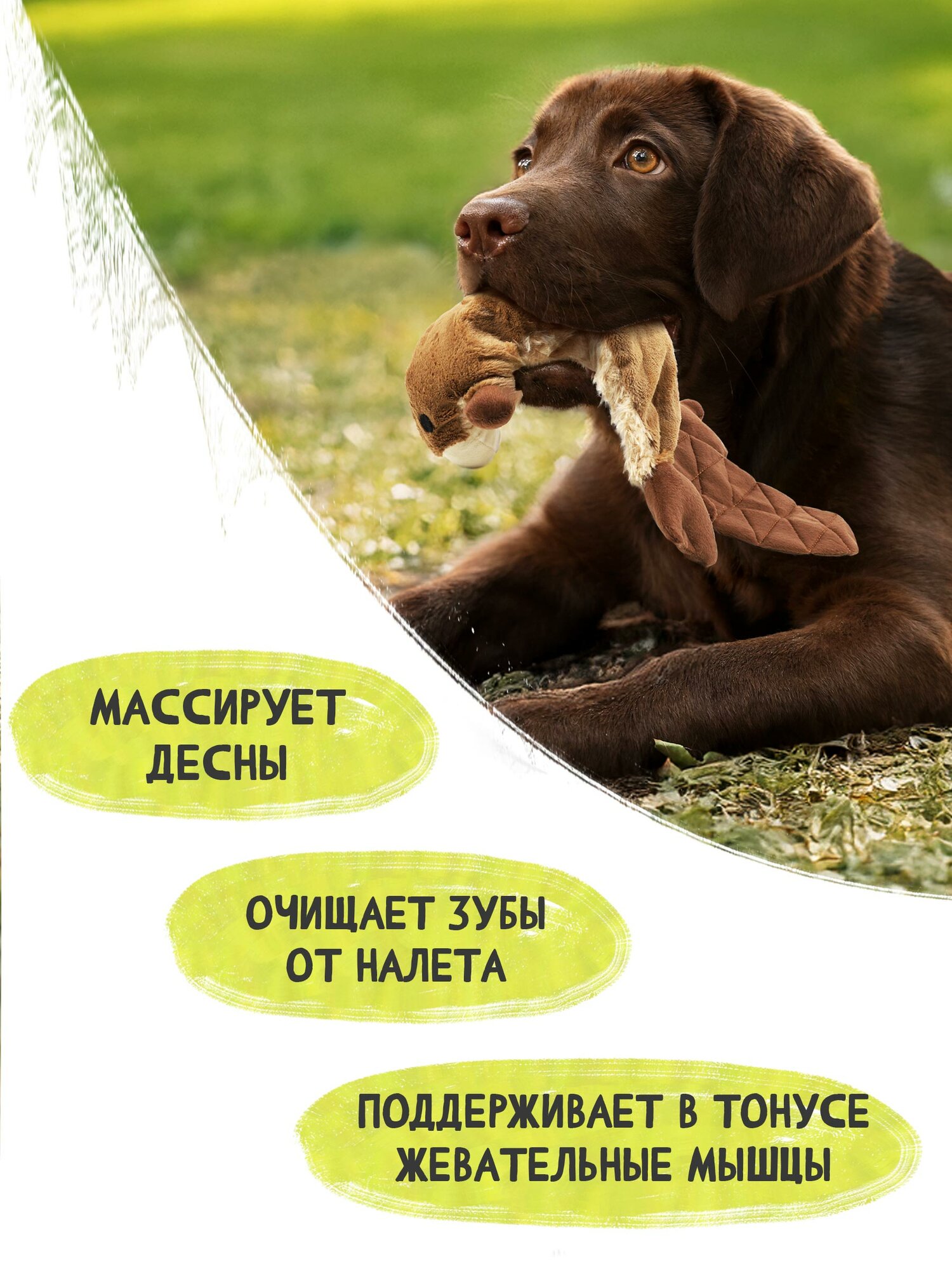 Игрушка для собак мягкая Triol "Бобер"с пищалкой, коричневый ,25х17см — фото 1