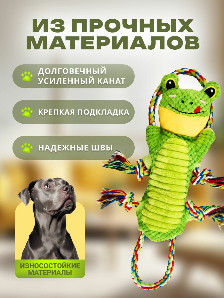 Картинки Игрушка для собак и щенков с канатами