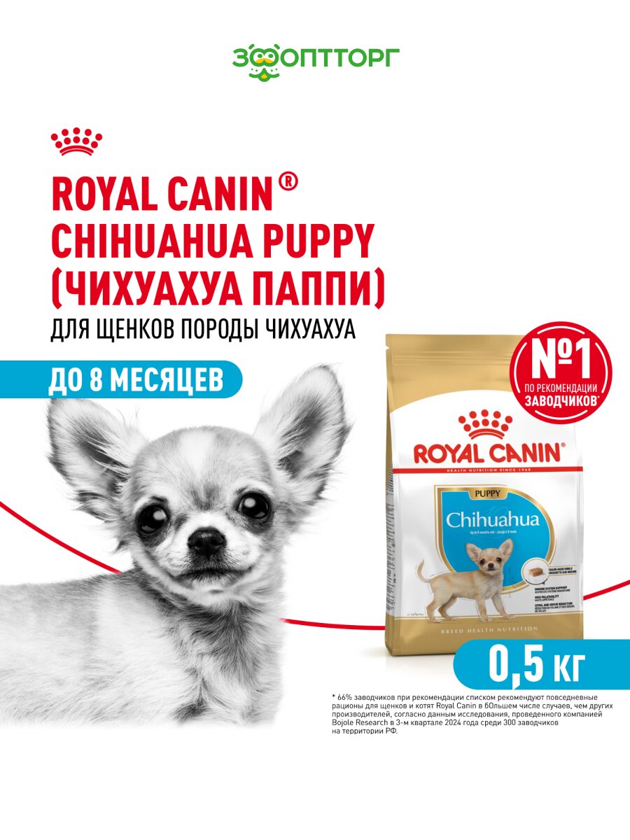 Сухой корм Royal Canin Chihuahua Puppy для щенков породы чихуахуа Птица, 500 г.