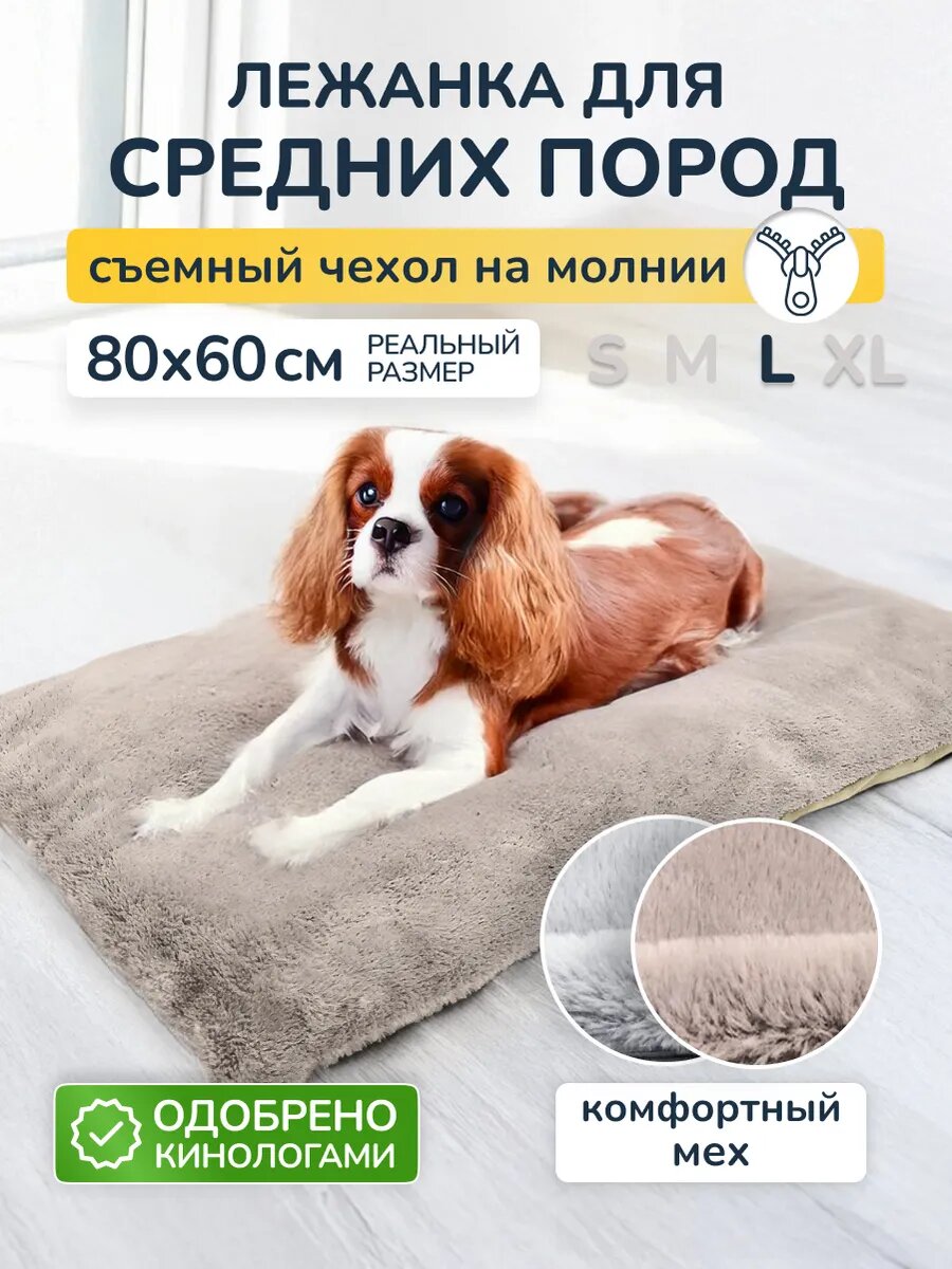 Лежанка-коврик для собак, для средних пород, антивандальная, ортопедическая, 80 х 60 см