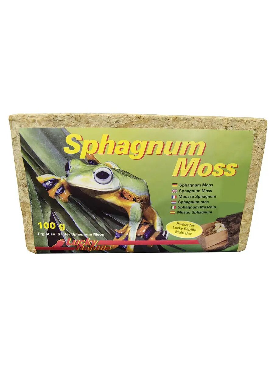 Мох "Sphagnum" светло-бежевый 100гр
