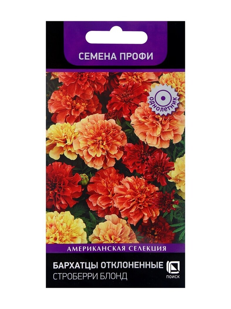 Семена цветов поиск 