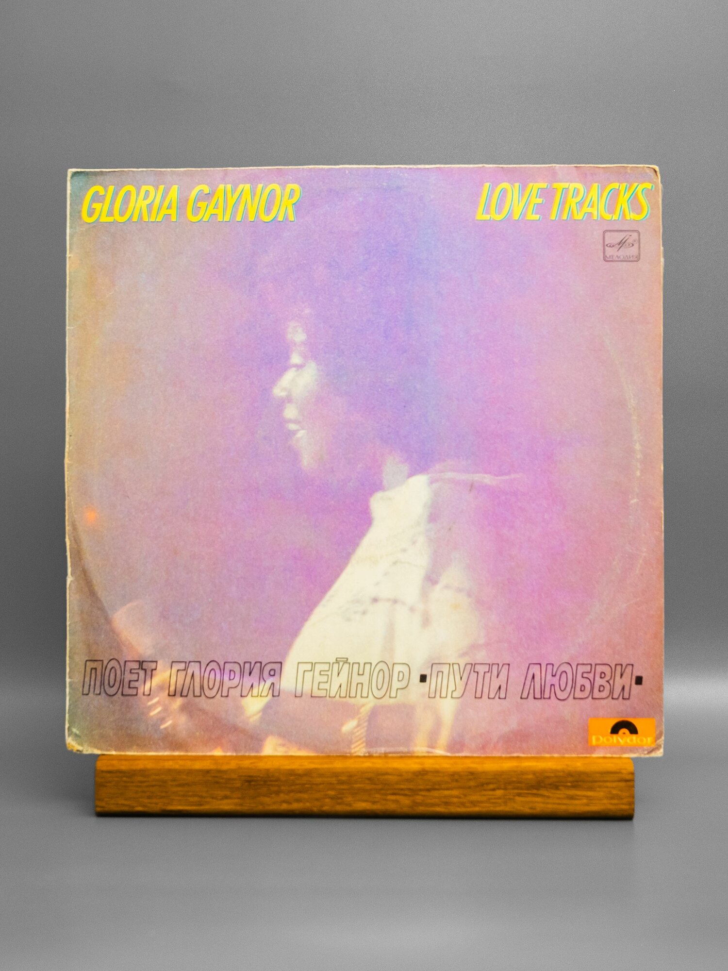 Глория Гейнор (Gloria Gaynor) - Пути любви / виниловая пластинка LP VG