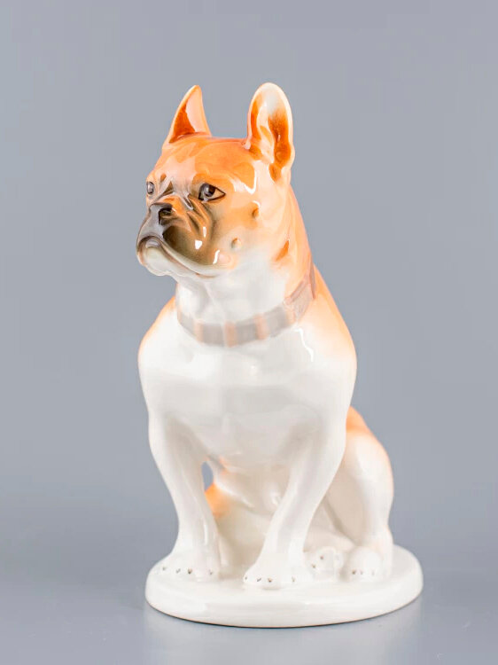 Фарфоровая статуэтка Бульдог , Императорский фарфоровый завод — фото 1
