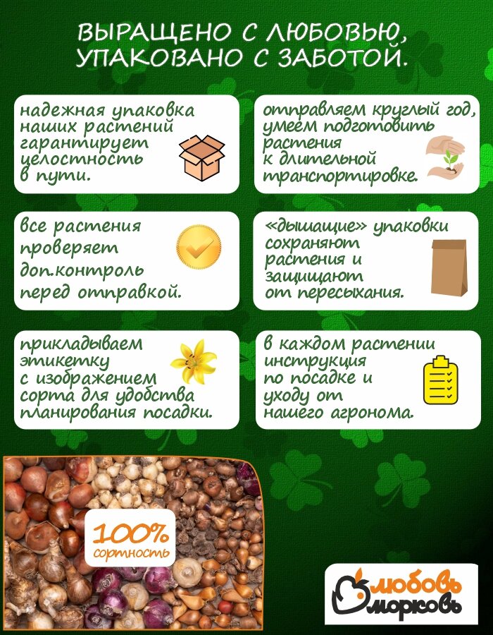 Тюльпан Луковица Микс сортов 15 шт очищенный