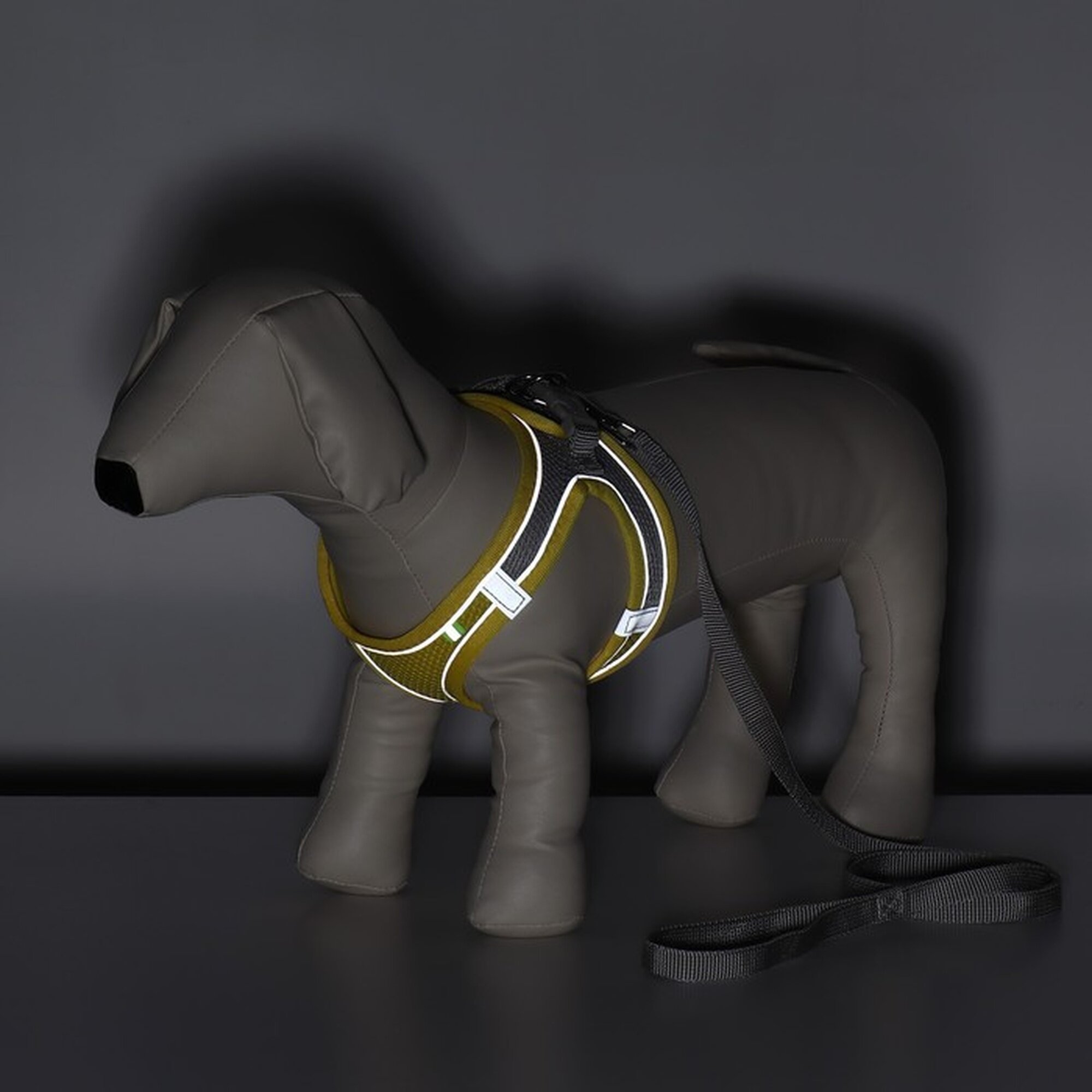 Изображение Комплект с мягкой шлейкой, быстросъемный, M, поводок 150 х 1,5 см, ОШ 38-44 см, ОГ 44-50 см, жёлтый