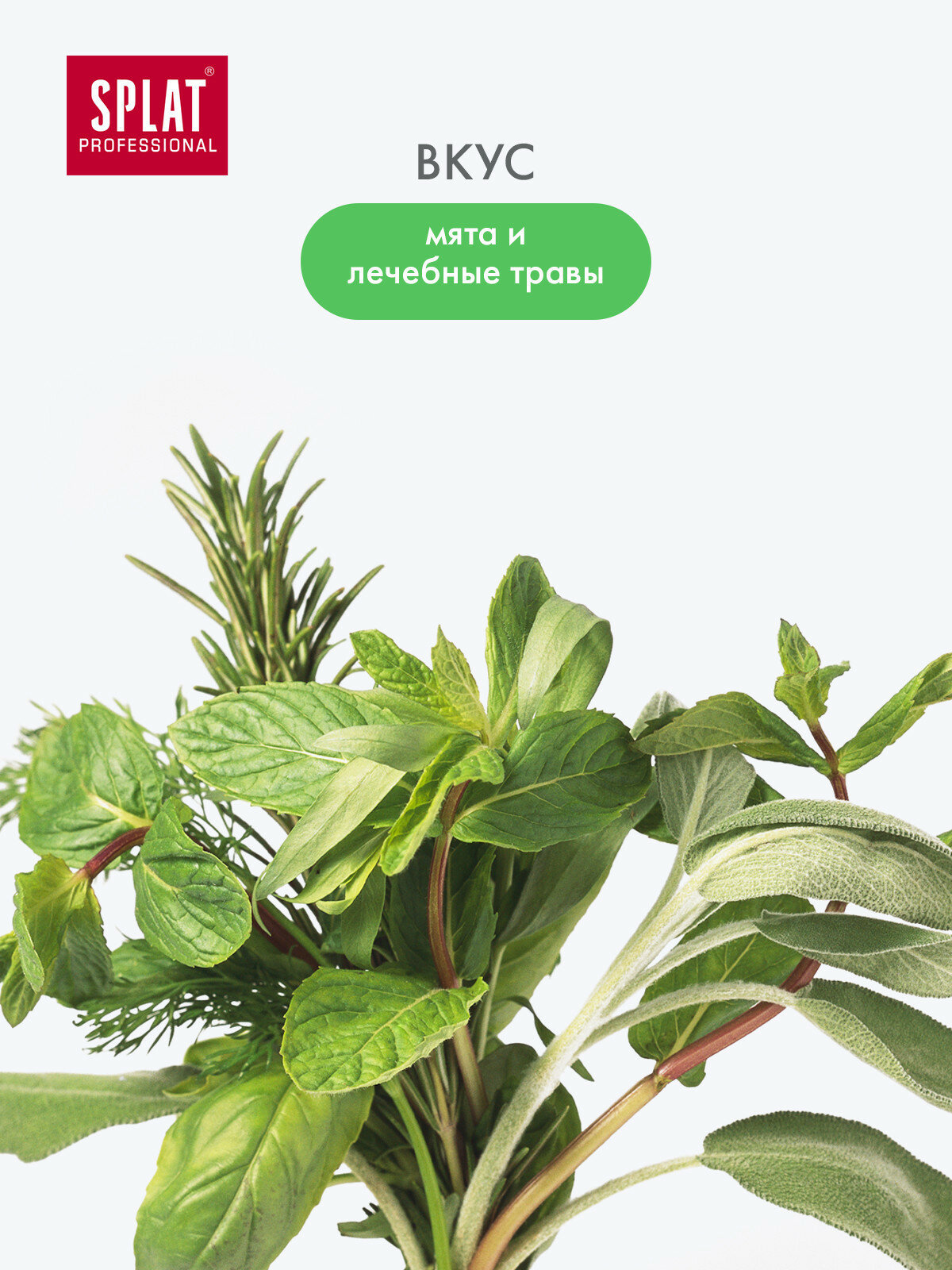 Картинки Антибактериальный ополаскиватель для полости рта SPLAT MEDICAL HERBS ЛЕЧЕБНЫЕ ТРАВЫ для здоровья зубов и десен, 275 мл