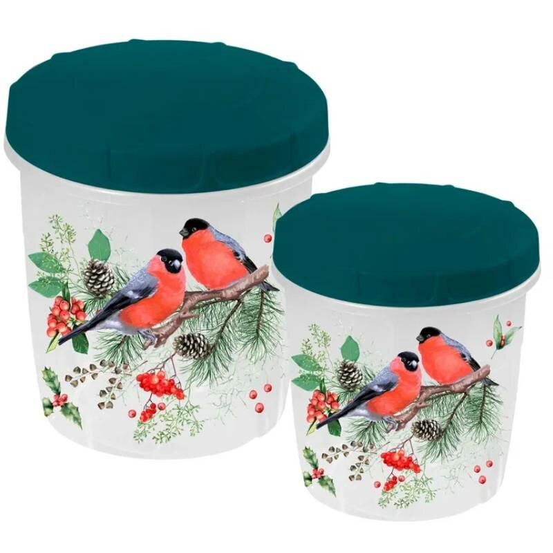 Набор банок для хранения продуктов 2шт (05+1л) Снегири.