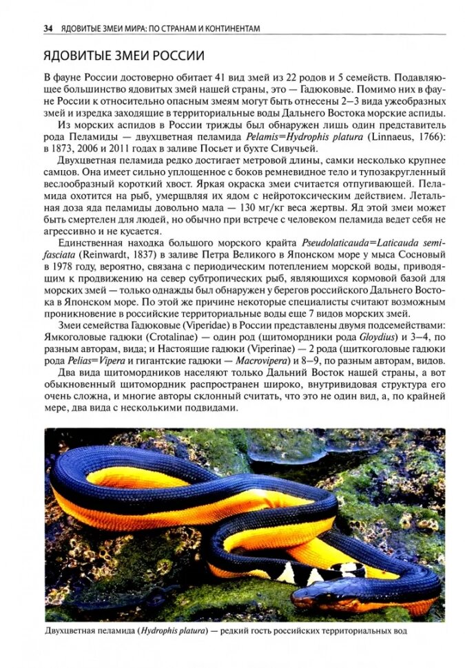 Ядовитые змеи мира — фото 1