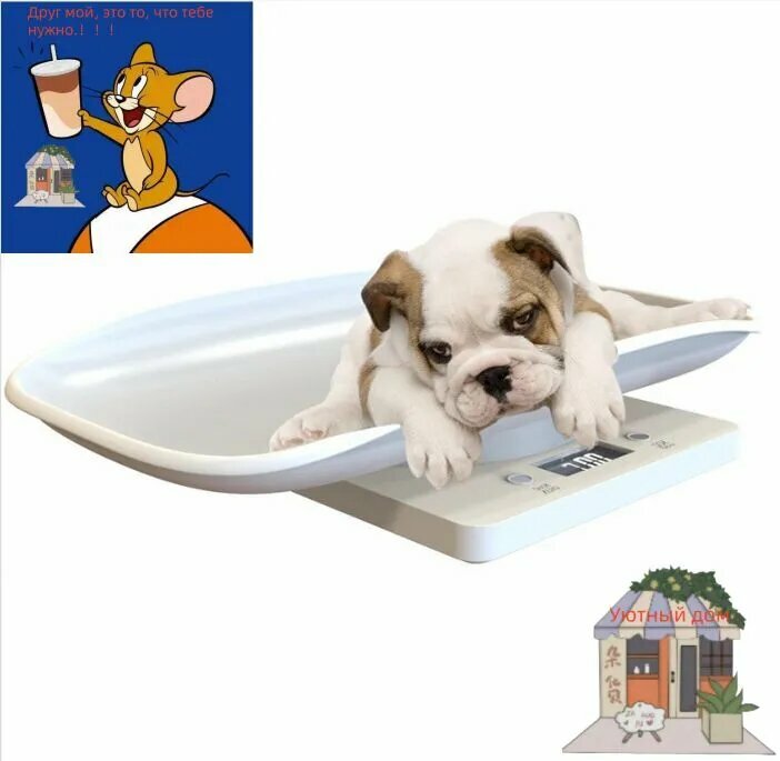 Весы для взвешивания домашних животных максимальная нагрузка - 15 кг