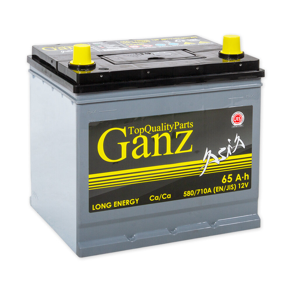 Аккумулятор GANZ ASIA 65 А/ч обратный R+ 232x175x225 D23 EN 580 А