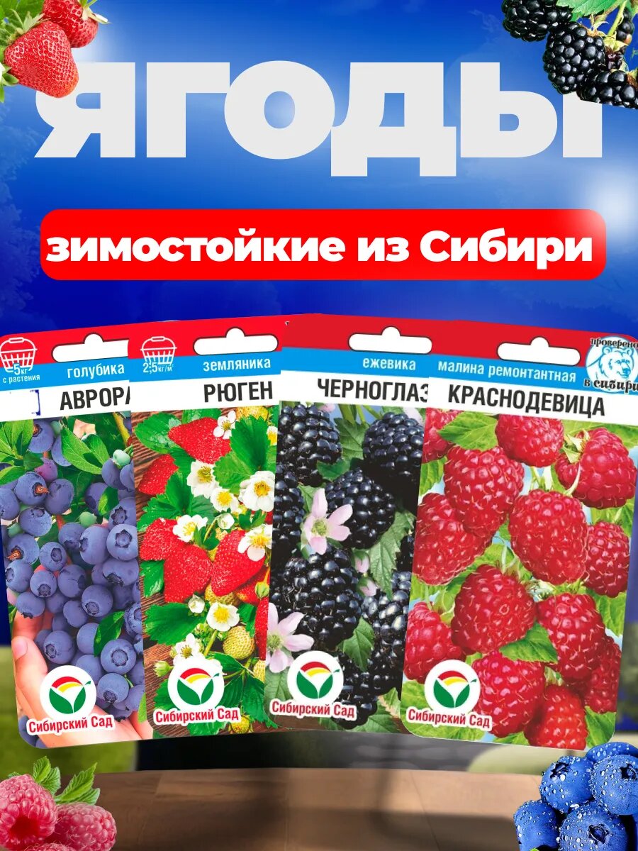 Cемена голубика ежевика земляника малина 4 пакета
