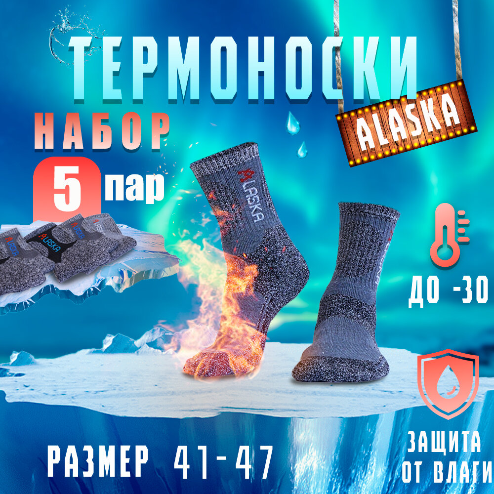Носки Alaska, комплект, 5 пар, размер 41-47, мультиколор