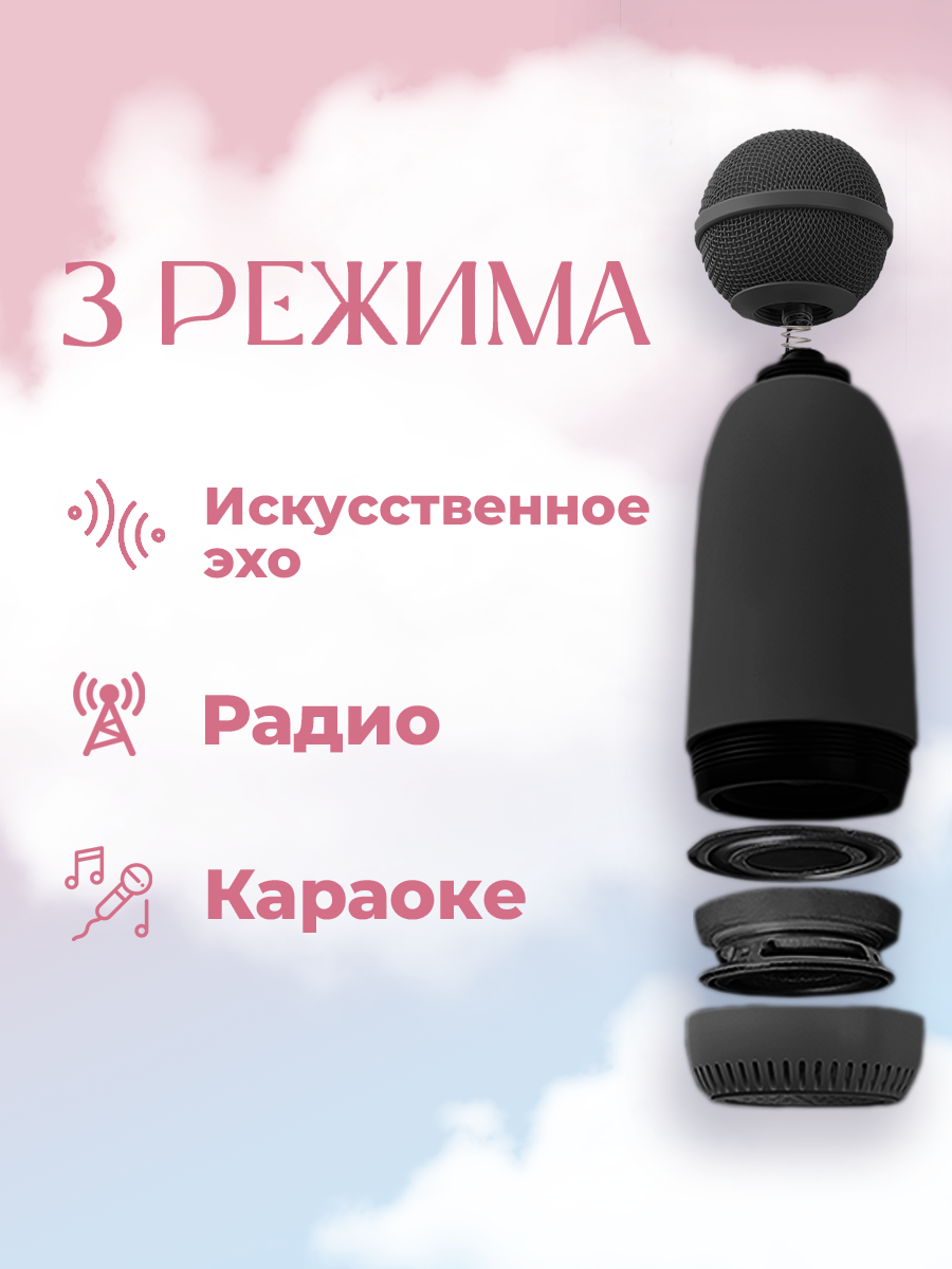 Профессиональная караоке система для дома, портативная, колонка с микрофоном, 5 видов изменения голоса, FM радио, черная — фото 1