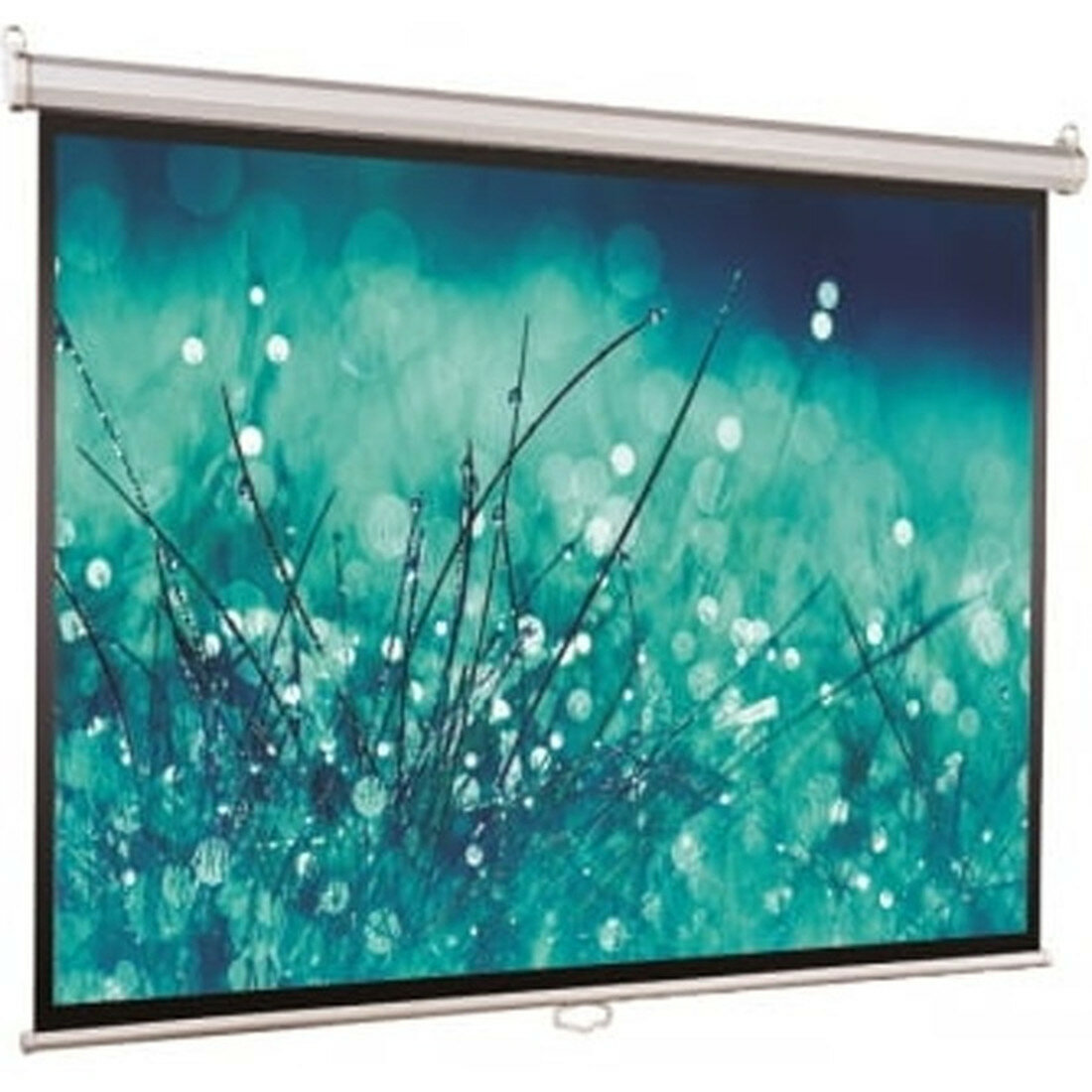 Экран ViewScreen Scroll, 100", 1:1, подпружиненный, настенный/потолочный