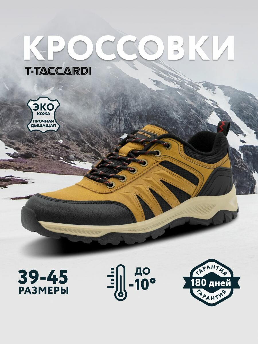 Ботинки T.Taccardi