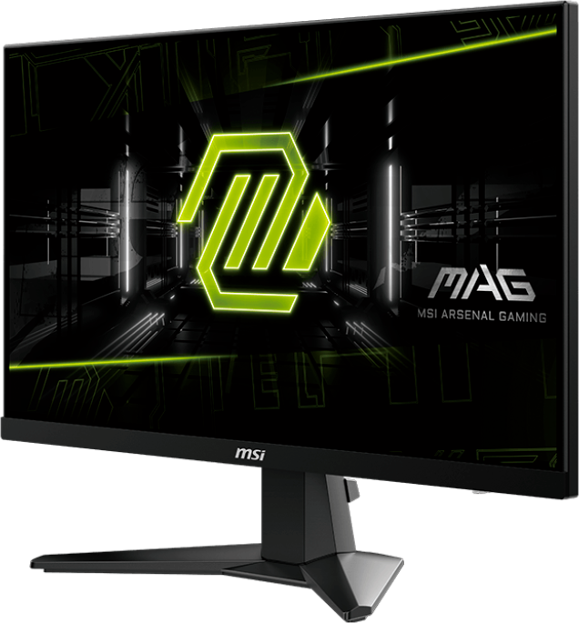 Монитор MSI 25" MAG 256F (9S6-3BC11H-020) — фото 1