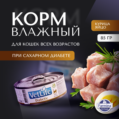 фото Влажный корм farmina vet life diabetic для кошек при диабете, 85 г