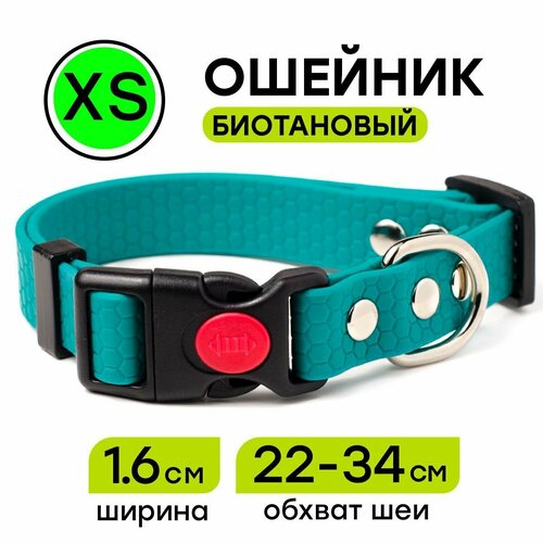 Ошейник из биотана 22-34 см (XS), 16 мм, Woofy "Geksa", для маленьких собак, водостойкий, бирюзовый