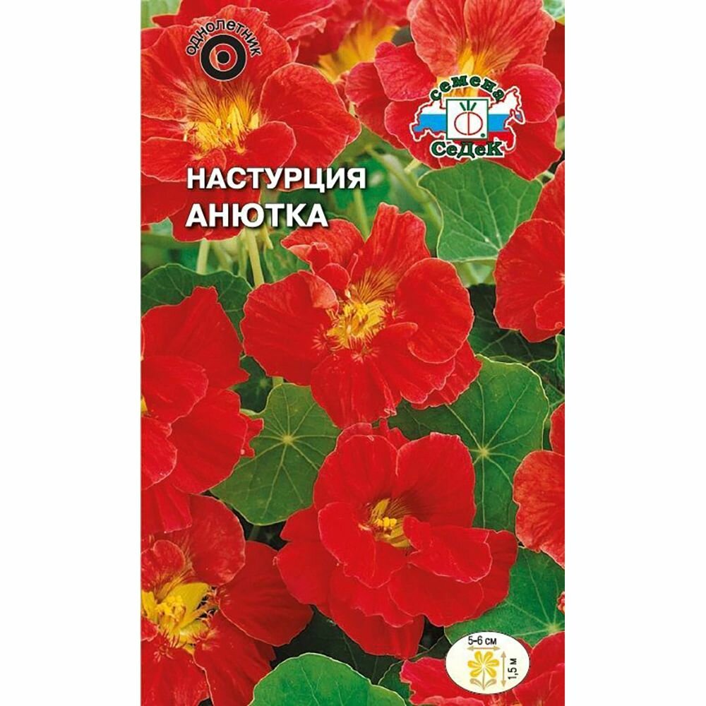 Настурция большая Анютка махровая 1 г